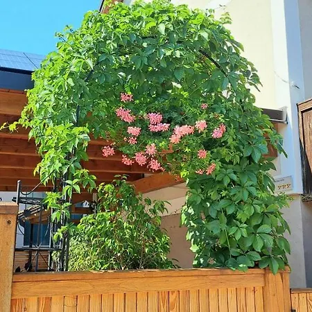 River Kolpa Apartment, Griblje Ob Reki Kolpi * Gradac