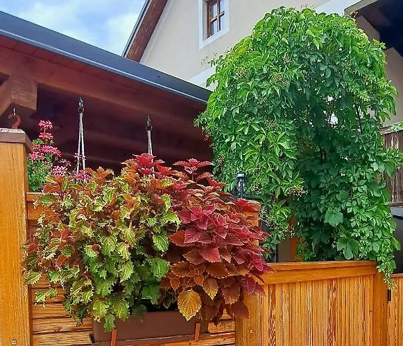 דירה River Kolpa Apartment, Griblje Ob Reki Kolpi